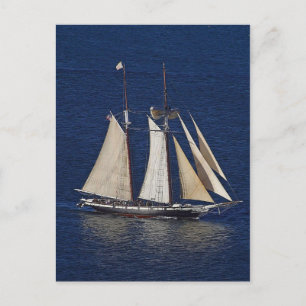 Tall Ship Postcard