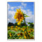 Tall Sunflower Card