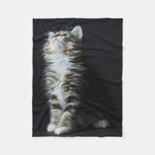 Tall Tabby Fleece Blanket