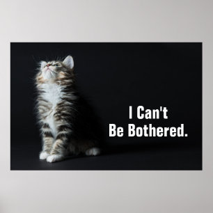 Tall Tabby Poster