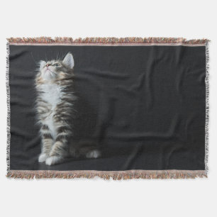 Tall Tabby Throw Blanket