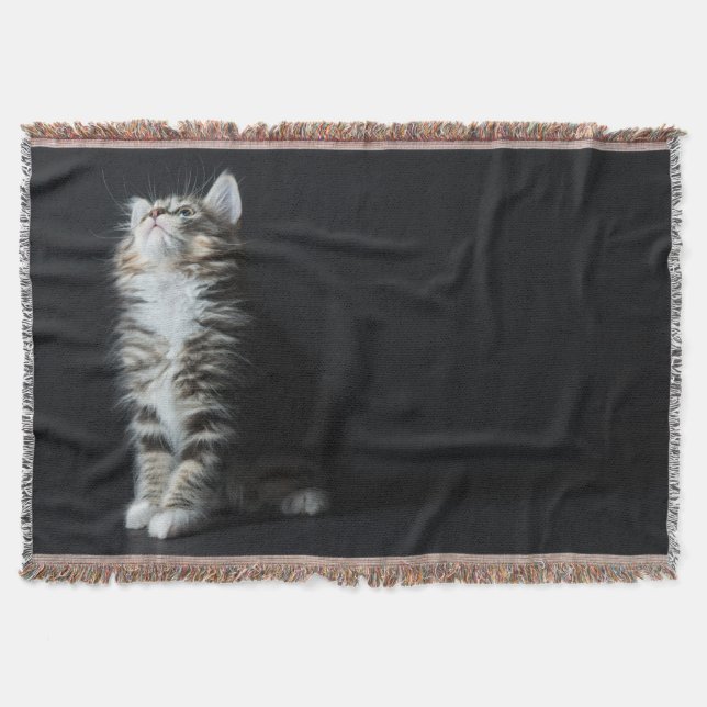 Tall Tabby Throw Blanket (Front)