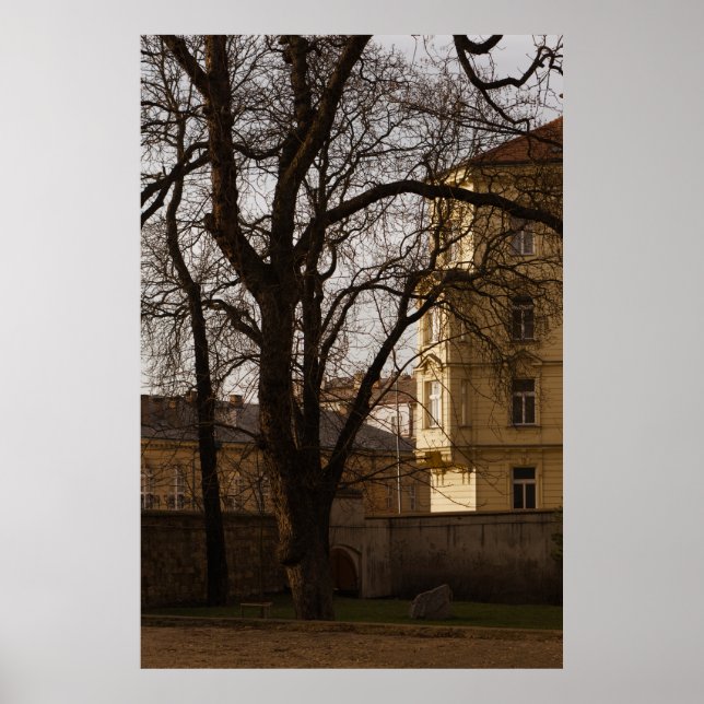 Tall Tree in Walled Garden Poster (Front)