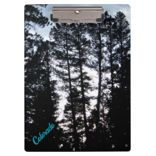 Tall Trees in CO Mountains Clipboard