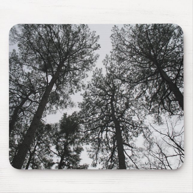 Tall Trees Mouse Pad (Front)