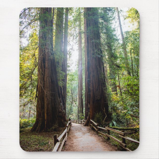Tall Trees Mouse Pad (Front)
