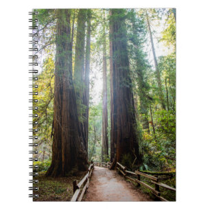 Tall Trees Notebook