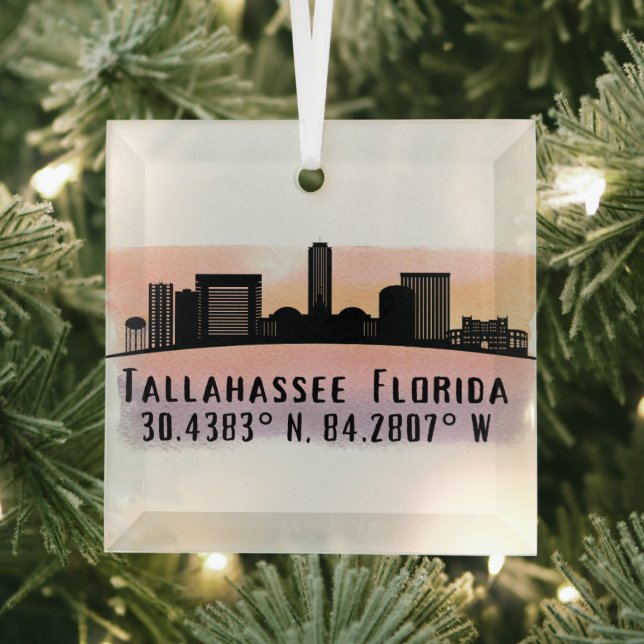 Tallahassee FL City Skyline Glass Ornament (Insitu)