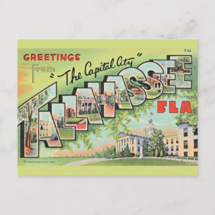 Tallahassee Florida Greeting Postcard