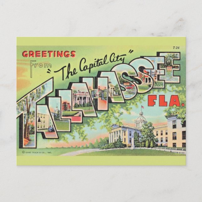 Tallahassee Florida Greeting Postcard (Front)