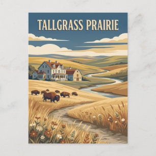 Tallgrass Prairie Kansas Bison Vintage Poster Postcard