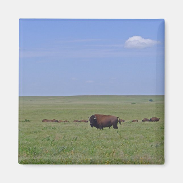 Tallgrass Prairie National Preserve - Kansas Magnet (Front)