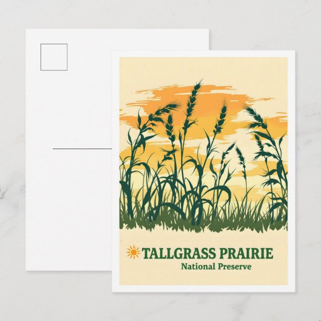 Tallgrass Prairie National Preserve Kansas Travel Postcard (Front/Back)