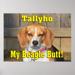 Tallyho My Beagle Butt! Grumpy Beagle Poster