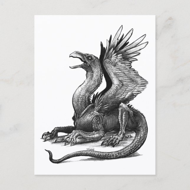 Talon - Postcard (Front)