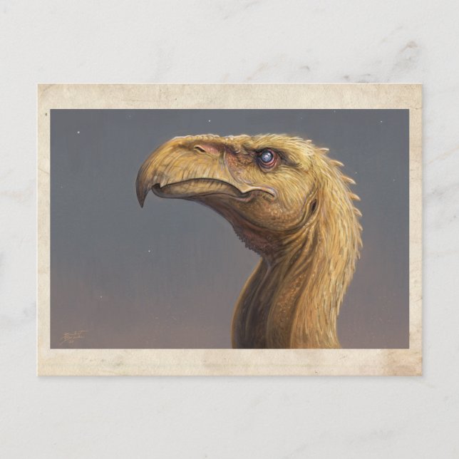 Talon's Head - Postcard (Front)