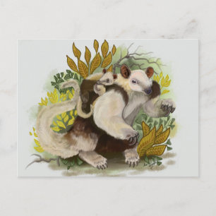 Tamandua Anteater Postcard