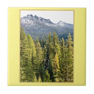 Tamarack Gold Ceramic Tile