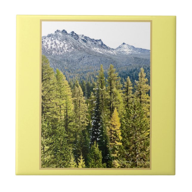 Tamarack Gold Ceramic Tile (Front)