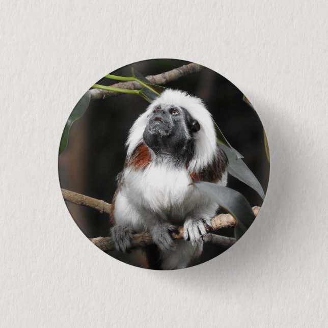 Tamarin Badge (Front)