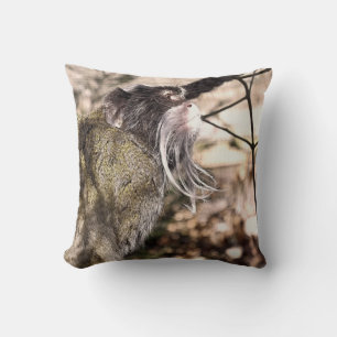 TAMARIN MONKEY  CUSHION