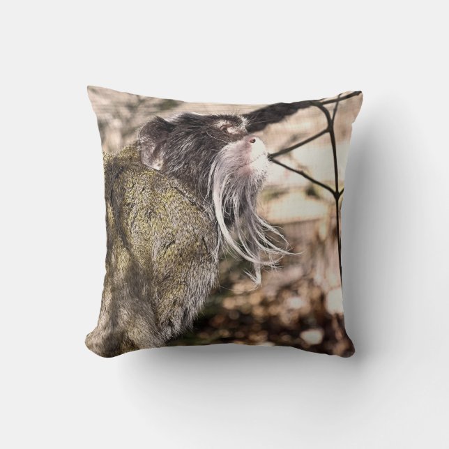 TAMARIN MONKEY  CUSHION (Front)