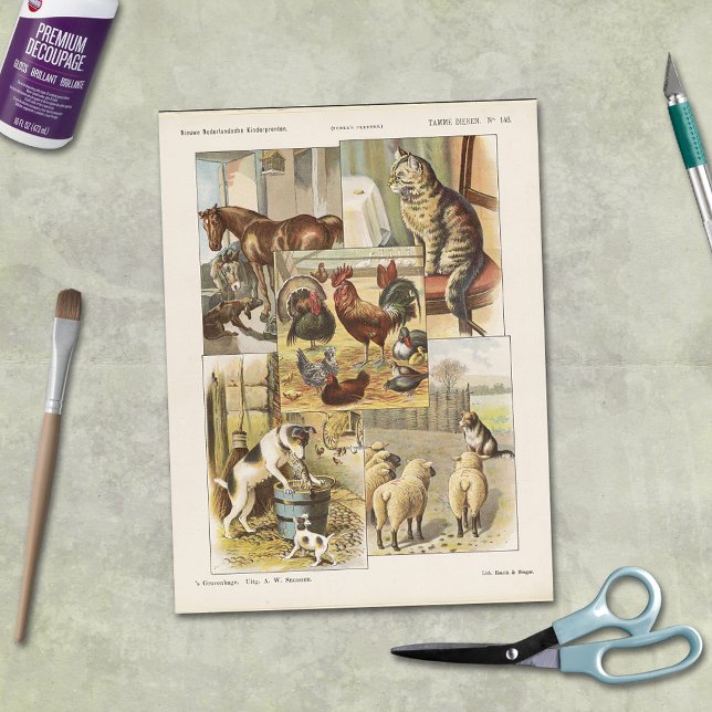 Tame Farm Animal Collection Ephemeral Decoupage Tissue Paper (Creator Uploaded)