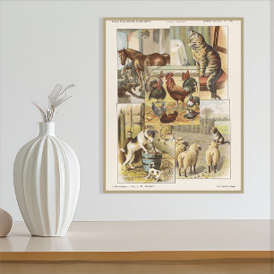 Tame Farm Animal Collection Ephemeral Poster