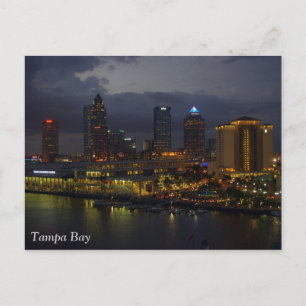 Tampa Bay Night Skyline Postcard
