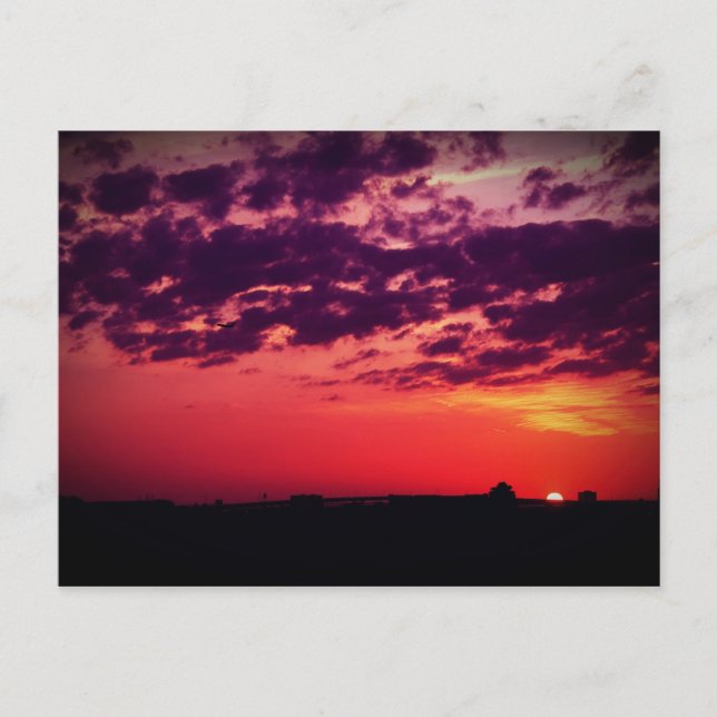 Tampa Bay Sunset Postcard (Front)