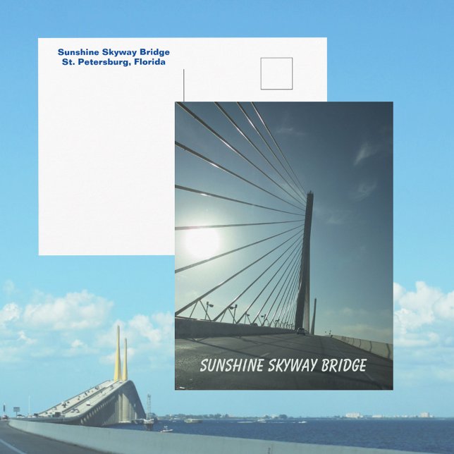 Tampa Bay Sunshine Skyway Bridge Florida Postcard (Creator Uploaded)