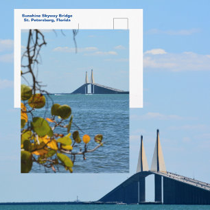 Tampa Bay Sunshine Skyway Bridge Photographic Postcard