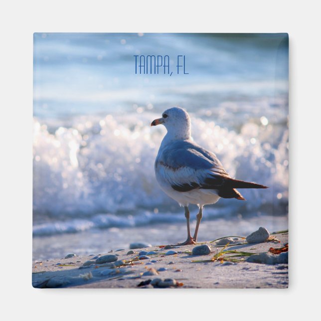 Tampa, FL fridge magnet (Front)