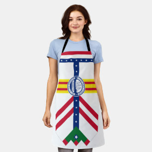 Tampa (Florida) City flag Apron