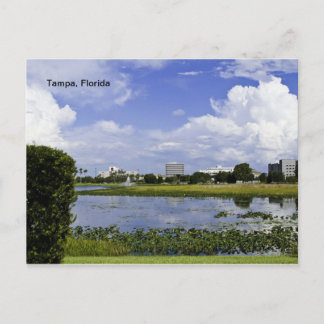 Tampa, Florida Postcard