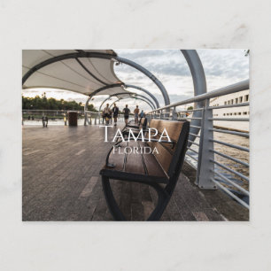 Tampa Florida Postcard