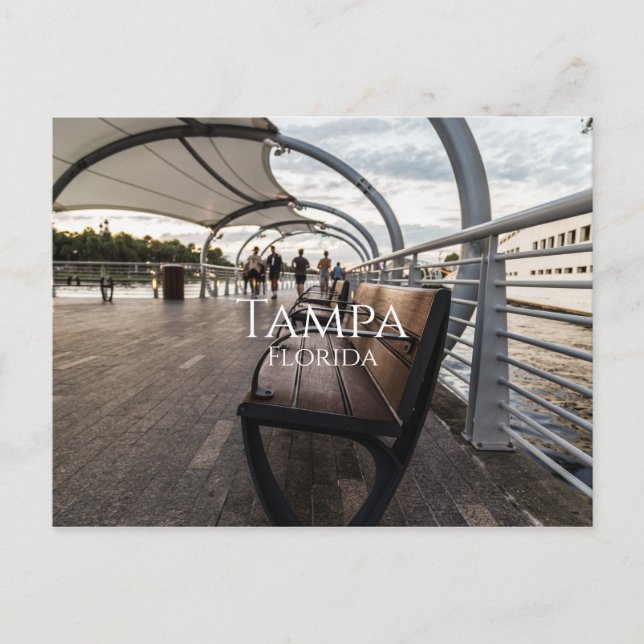 Tampa Florida Postcard (Front)