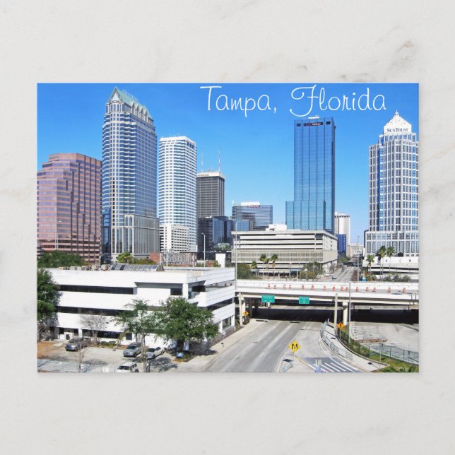 Tampa, Florida skyline as seen from the south Postcard (Front)