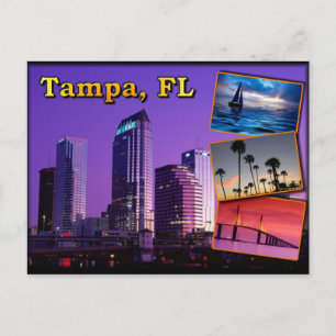 Tampa, Florida - the sunshine state Postcard