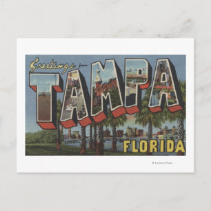 Tampa, FloridaLarge Letter ScenesTampa, FL Postcard