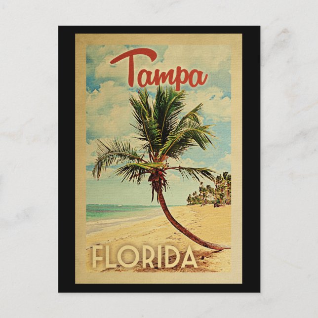 Tampa Postcard Palm Tree Vintage Travel (Front)