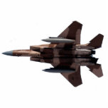 Tan Aggressor F-15 Eagle Standing Photo Sculpture<br><div class="desc">This F15 Eagle Aggressor Photo Sculpture was created from the start to look perfect as a wall mounted 2ft x 3ft stunner! If you love military aircraft or know someone that does,  this is a must have!</div>