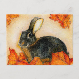 TAN AND BLACK POSTCARD