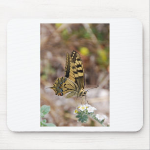 Tan and White Butterfly Mouse Pad