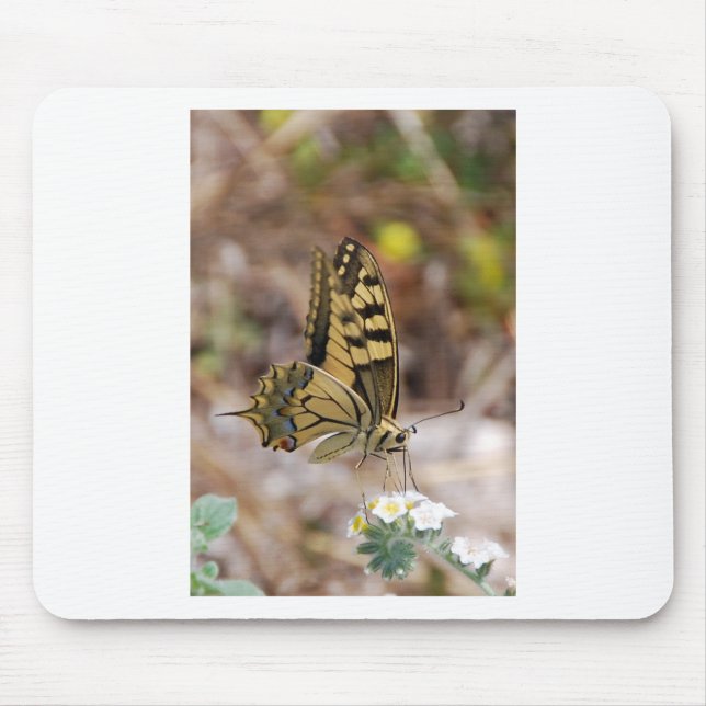 Tan and White Butterfly Mouse Pad (Front)