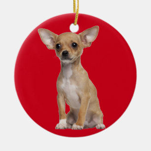 Tan and White Chihuahua Ceramic Tree Decoration
