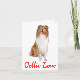 Tan And white Collie Puppy Dog Blank Note Card