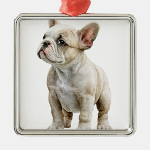 TAN AND WHITE FRENCH BULLDOG DOG METAL ORNAMENT