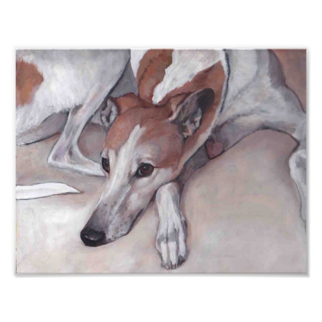 Tan and White Greyhound Dog Art Photo Print (Front)