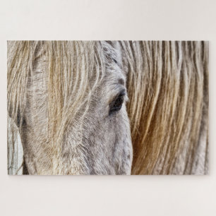 tan barn horse puzzle